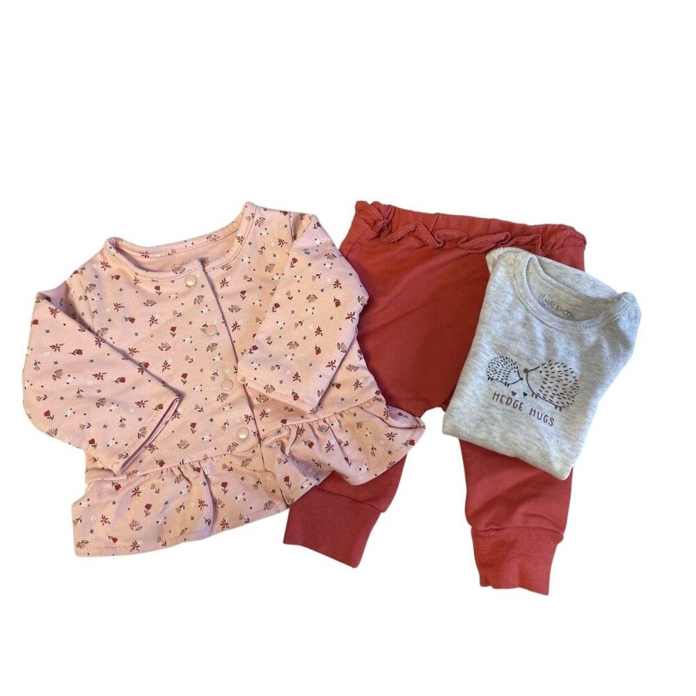 Baby Girls 3-Piece Outfit Set - Hedgehogs Onesie Floral Peplum Top & Ruffle Pant